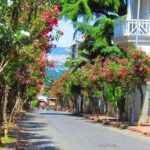 Buyukada Princes' Island Guided Day Tour With Lunch From Istanbul Tour Overview