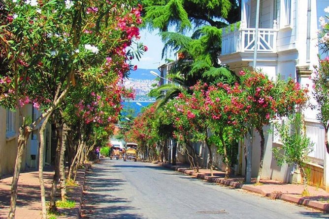 Buyukada Princes' Island Guided Day Tour With Lunch From Istanbul - Tour Overview