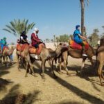 Camel Trekking Through Marrakeshs Palm Grove Tour Inclusions