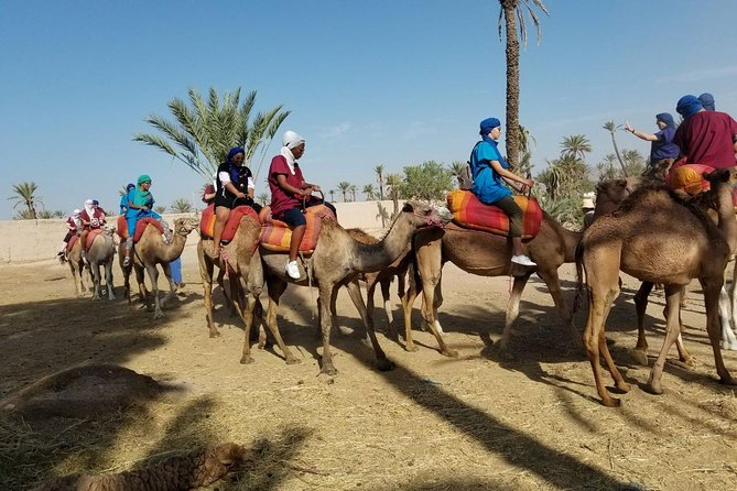 Camel Trekking Through Marrakeshs Palm Grove Tour Inclusions