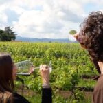 Chianti Vineyards: Small Group Tour With Wine Tasting & Dinner Tour Details