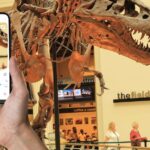 Chicago: Field Museum Ticket & In App Audio Tour (eng) Ticketing And Reservation Details