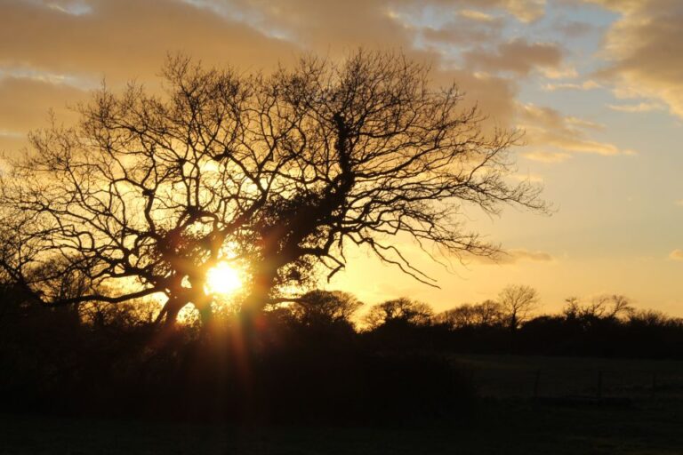 Chichester And West Sussex Photography And Tourist Tours Tour Details