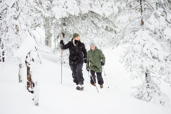 Classic Wilderness Skiing in the Pyhä-Luosto National Park - Overview of the Activity