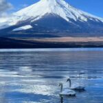 Comfortable Tour In Mount Fuji Tour Overview And Pricing