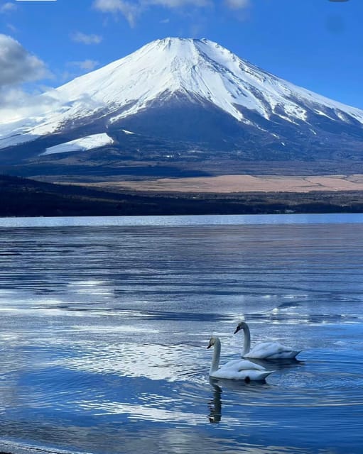 Comfortable Tour in Mount Fuji - Tour Overview and Pricing