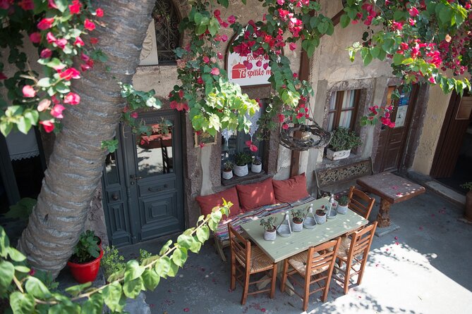 Cooking Class in Traditional Cave House in Santorini! - Overview of the Cooking Class