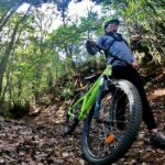 Descend In Mountain Bike In Northern Forests Of Gran Canaria Included Experiences