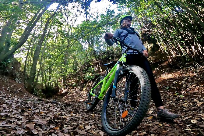 Descend In Mountain Bike In Northern Forests Of Gran Canaria Included Experiences