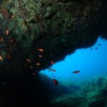 Diving Guided By The Diving Center (with Full Equipment) Booking And Cancellation Policy