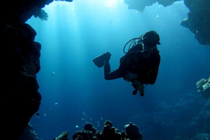 Diving:First Dream to Dive Tour&Snorkeling With Lunch in Redsea - Pricing Information