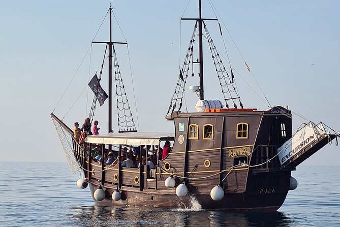 Dolphin Watching Boat Trip Around Vrsar - Overview of the Dolphin Watching Trip