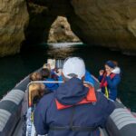 Dolphins & Caves On Rib Boat Overview Of The Experience