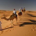 Dubai Red Dunes Desert Morning Adventure Tour Overview