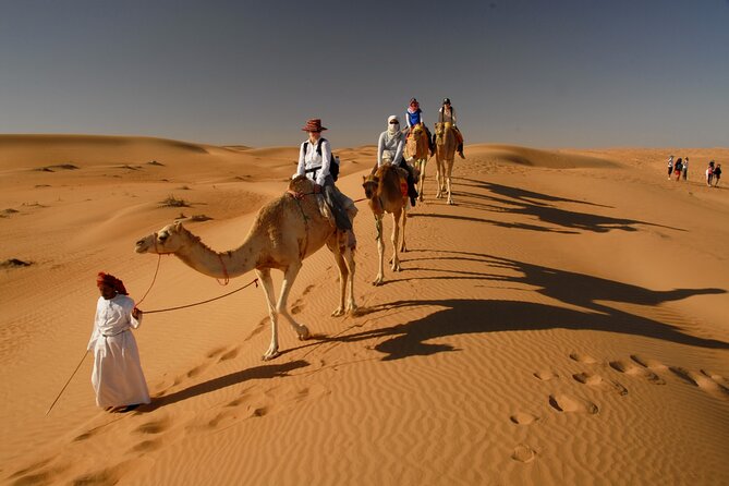 Dubai Red Dunes Desert Morning Adventure - Tour Overview