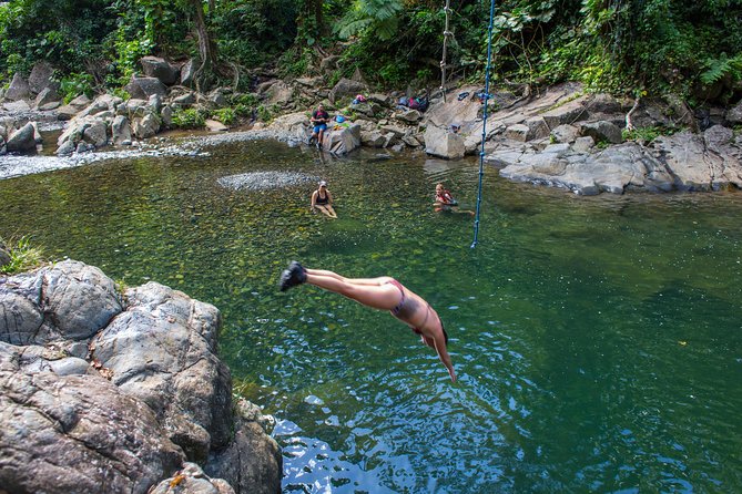 El Yunque Rainforest and Bio Bay Kayaking Combo Tour - Tour Overview