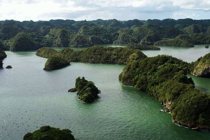 Excursion to Los Haitises + Cayo Levantado (Bacardi Island) From Santo Domingo - Exploring Los Haitises National Park