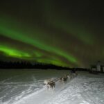 Fairbanks: Moonlight Dog Sled, Dinner & Northern Lights Tour Overview