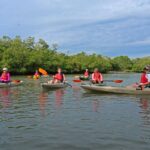 Florida Keys: Key West Kayak Eco Tour With Nature Guide Tour Overview