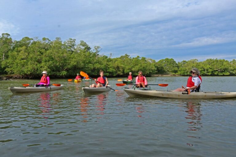 Florida Keys: Key West Kayak Eco Tour With Nature Guide Tour Overview