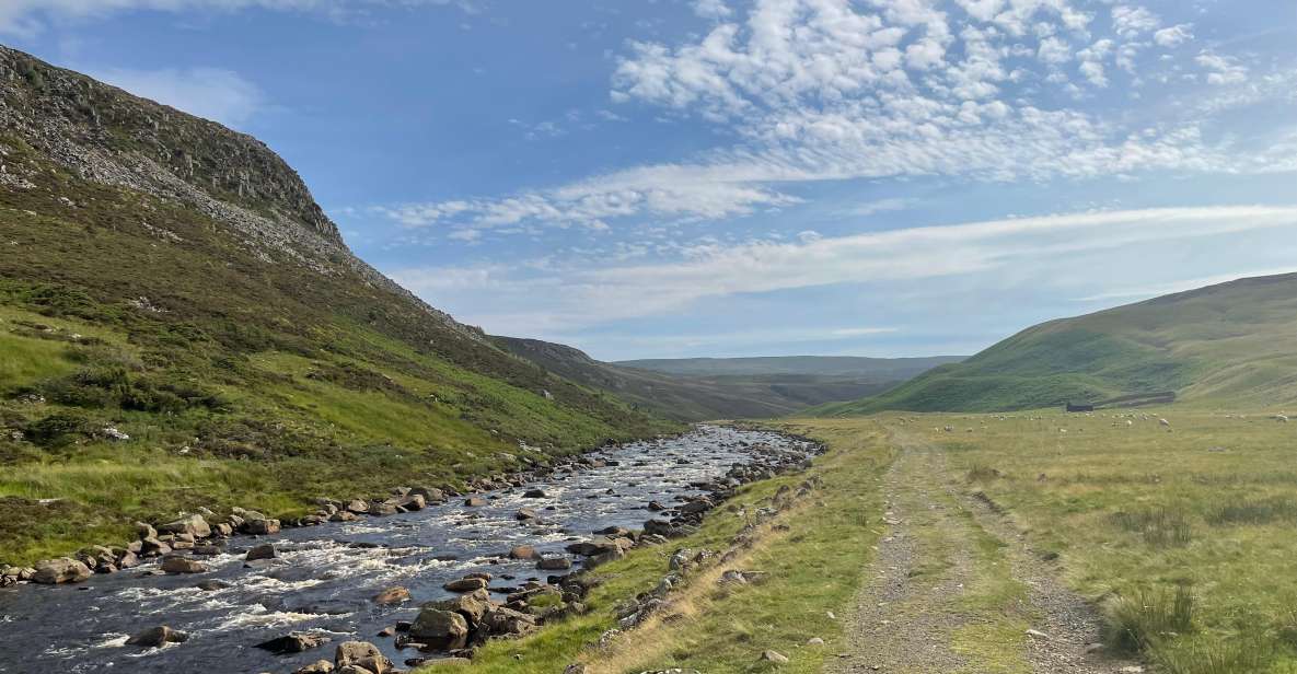 Freestone Guiding: Guided Flyfishing for Wild Brown Trout - Activity Overview