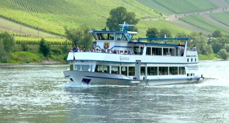 From Alken: Moselle Valley Sightseeing Cruise Cruise Overview