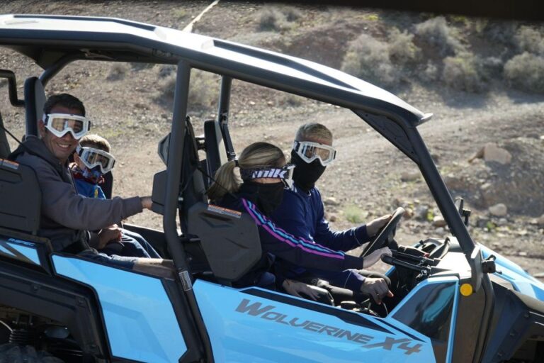 From Arguineguin : Buggy Tour Activity Overview