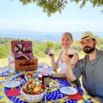 From Avignon: Wine Tour In 3 Places Including Châteauneuf Du Pape Tour Overview