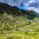 From Bucharest: Transfagarasan & Wild Bears Private Day Trip Tour Overview And Pricing