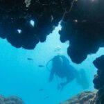 From City Of Side: Full Day Scuba Diving In Manavgat Overview Of The Adventure