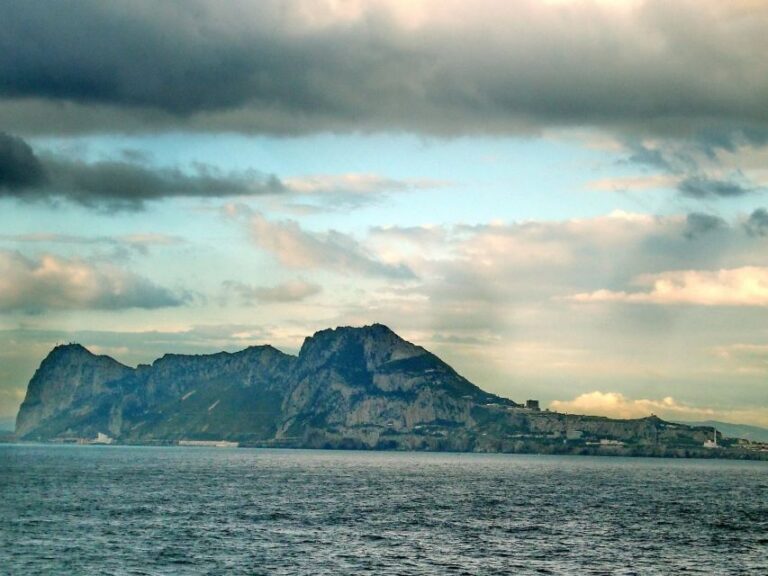 From Costa Del Sol: Gibraltar Dolphin Watching By Boat Overview Of Dolphin Watching Tour