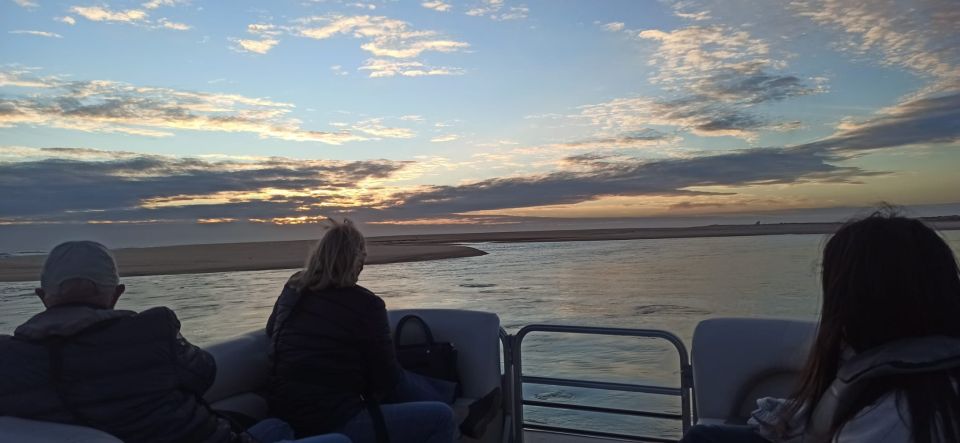 From Faro: Ria Formosa Islands Sunset Catamaran Cruise - Tour Overview and Pricing