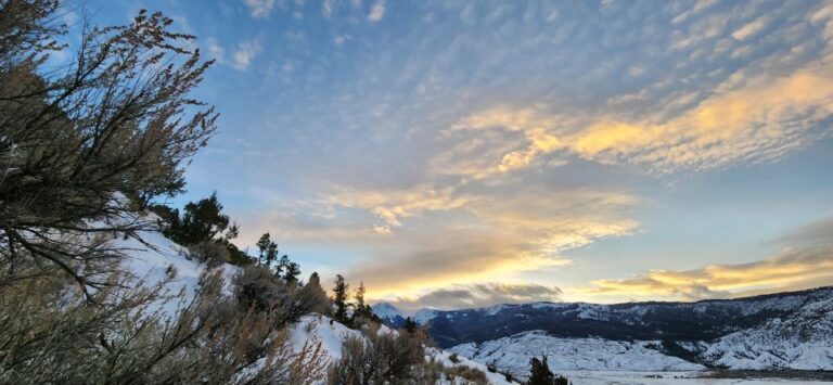 From Gardiner: Yellowstone National Park Snowshoe Tour Overview Of The Tour