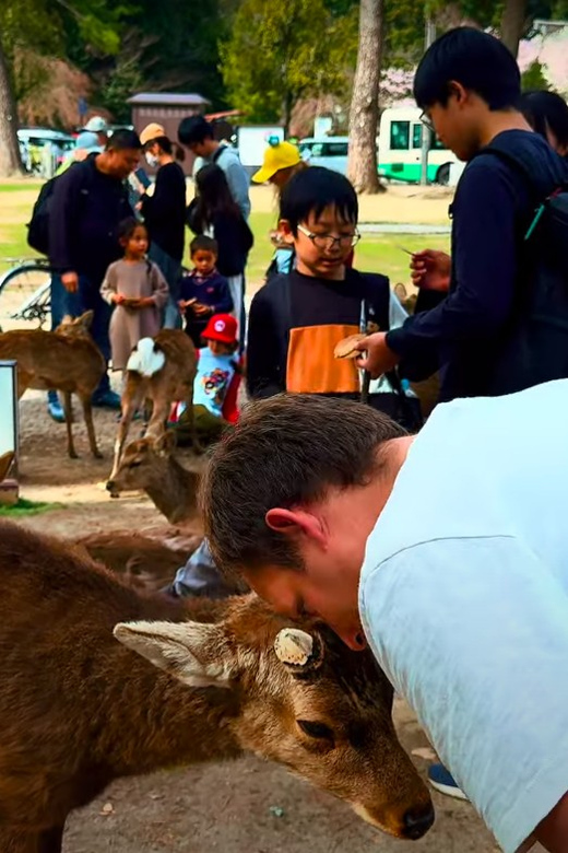 From Kyoto/Osaka: Nara Sightseeing Private Day Tour - Nara Park