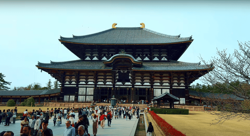 From Kyoto/Osaka: Nara Sightseeing Private Day Tour - Todai-ji Temple