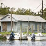 From New Orleans: Airboat Adventure Tour Activity Overview