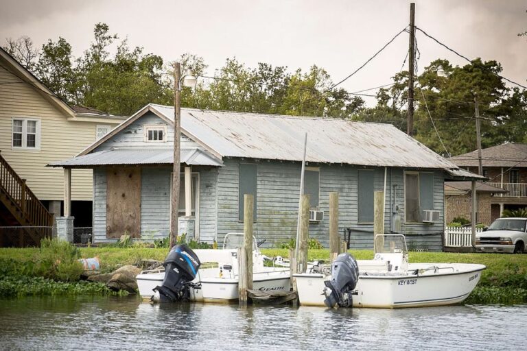 From New Orleans: Airboat Adventure Tour Activity Overview