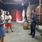 From Porto: Douro Valley 3 Vineyards Tour With Lunch Tour Overview