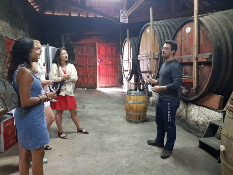 From Porto: Douro Valley 3 Vineyards Tour With Lunch Tour Overview