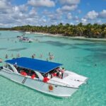 From Punta Cana: Saona Island Catamaran Tour Tour Overview