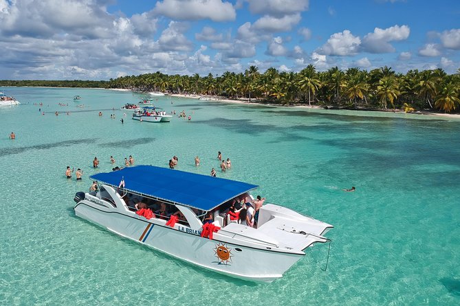 From Punta Cana: Saona Island Catamaran Tour - Tour Overview