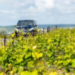 From Reims: Champagne And Family Run Wineries Tour Tour Duration And Details