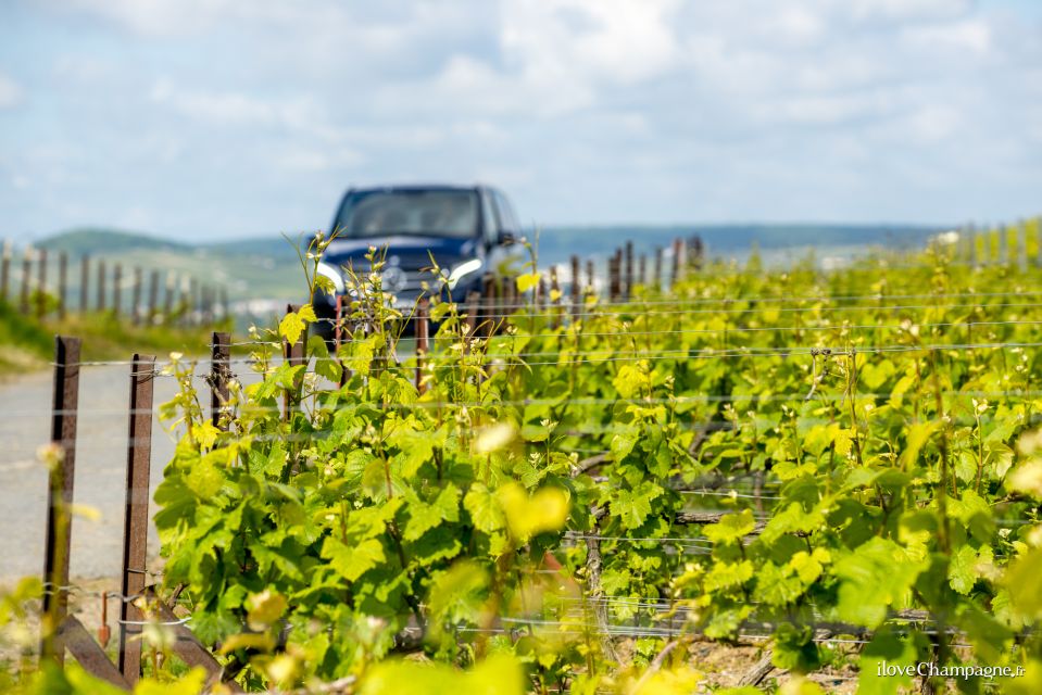 From Reims: Champagne and Family-Run Wineries Tour - Tour Duration and Details