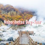 From Sapporo: 10 Hour Customized Private Tour To Noboribetsu Tour Overview And Pricing