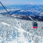 From Tokyo: Ginzan Onsen, Zao Snow Monsters 2 Day Tour Tour Overview