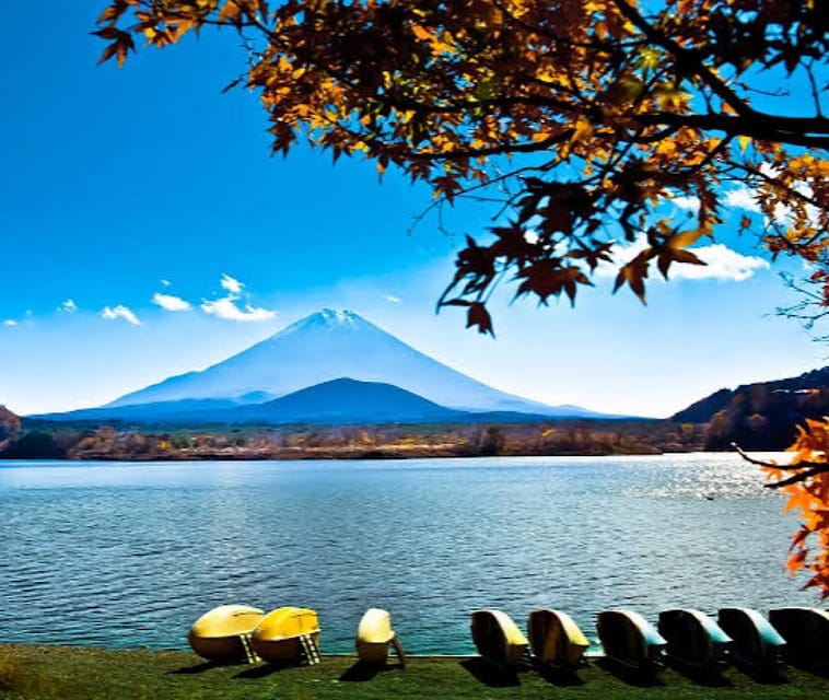 From Tokyo: Hakone, Lake Asahi & Oshino Hakkai Private Tour - Tour Overview and Pricing