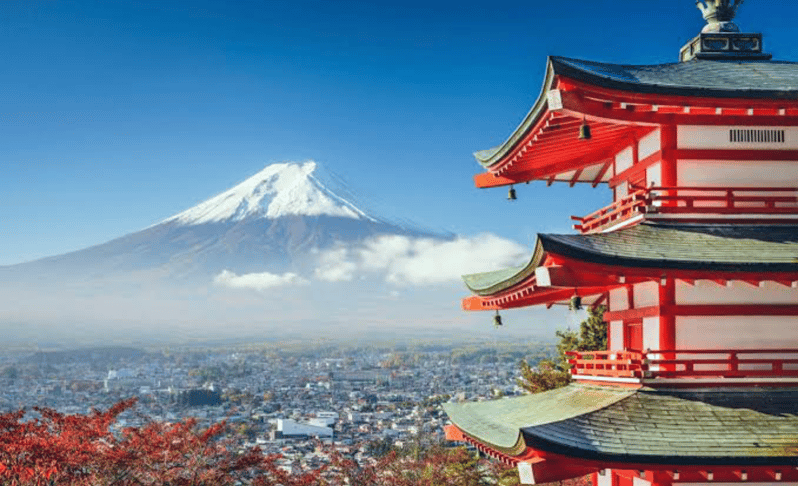 From Tokyo: Mount Fuji Full Day Private Tours English Driver - Inclusions and Amenities