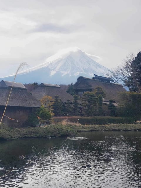 From Tokyo: Mt. Fuji And Hakone Private Sightseeing Day Trip - Overview of the Private Day Trip