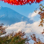 From Tokyo: Mt. Fuji Or Hakone Private Sightseeing Day Trip Overview And Pricing