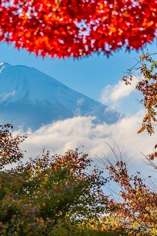 From Tokyo: Mt. Fuji or Hakone Private Sightseeing Day Trip - Overview and Pricing